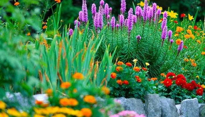 ¿Por qué deberías poner canela a tus plantas