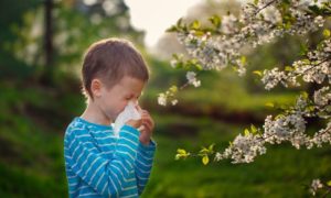 ¿Cómo será la primavera para los alérgicos al polen