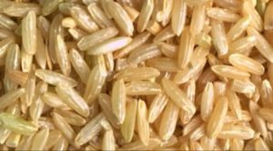 Diferentes tipos de arroz y sus propiedades