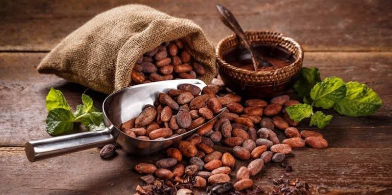 Conoce todos los beneficios del Cacao