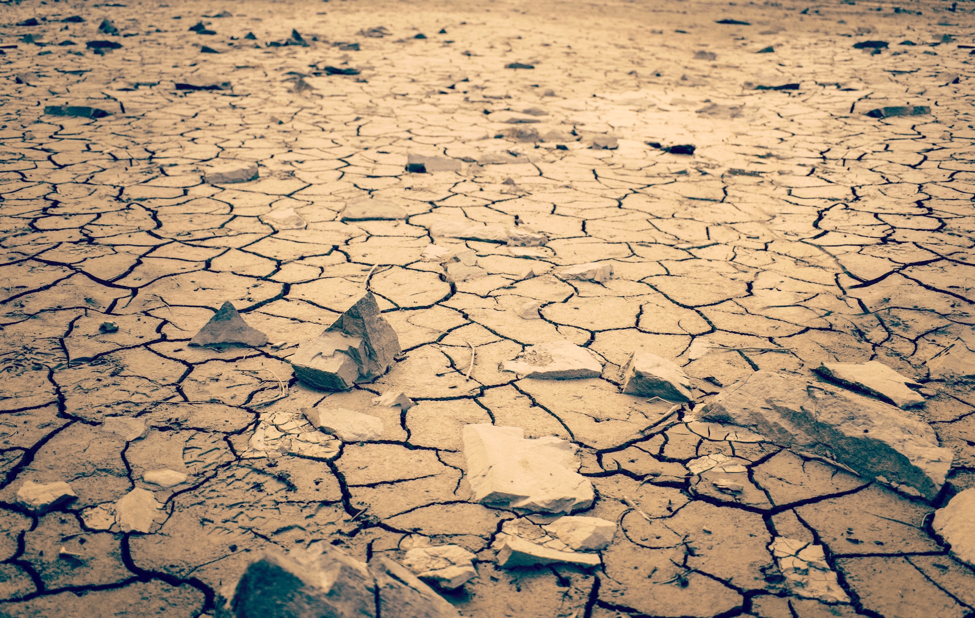 Desertificación de la tierra, consecuencia del cambio climático