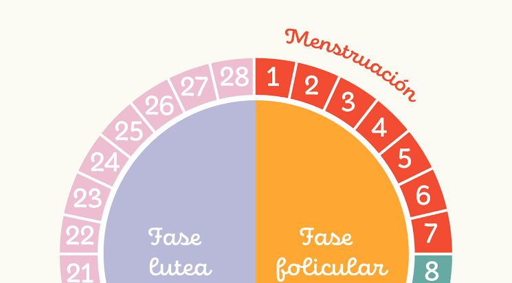 Ciclo menstrual Salud de la mujer