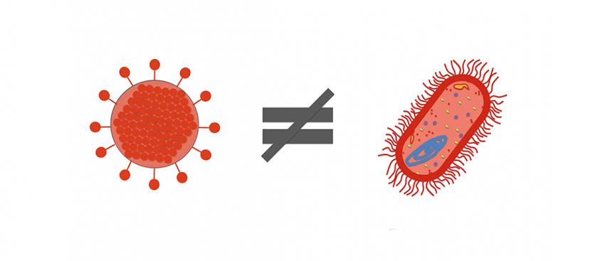 Las diferencias entre virus y bacterias