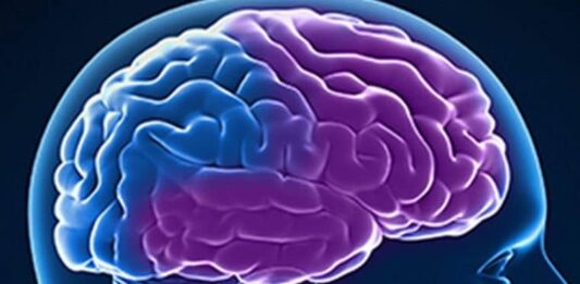 Demencia frontotemporal Demencia frontotemporal
