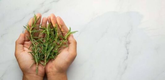 Jarabe de jengibre y romero Jarabe de jengibre y romero