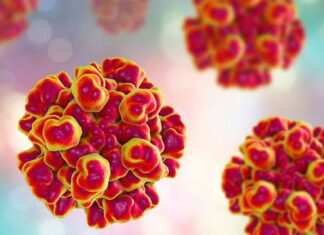 Hepatitis E: cómo se transmite y síntomas Hepatitis E cómo se transmite y síntomas