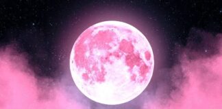 Luna Rosa: ¿De qué trata y cuándo podremos verla? Luna Rosa ¿De qué trata y cuándo podremos verla
