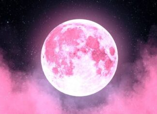 Luna Rosa: ¿De qué trata y cuándo podremos verla? Luna Rosa ¿De qué trata y cuándo podremos verla