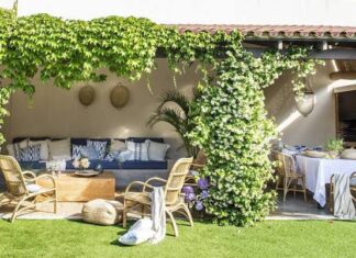 Tips para cuidar el jardín para principiantes Tips para cuidar el jardín para principiantes