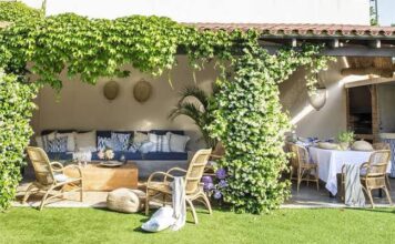 Tips para cuidar el jardín para principiantes Tips para cuidar el jardín para principiantes