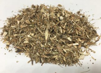 Hierba del sapo, ¿La conocías? Hierba-del-sapo-¿La-conocias-