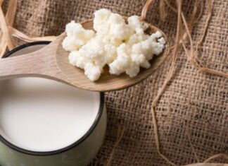 ¿Kéfir? ¿Qué es? ¿Kefir-¿Que-es-.