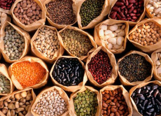 Leguminosas, semillas comestibles Leguminosas-semillas-comestibles-