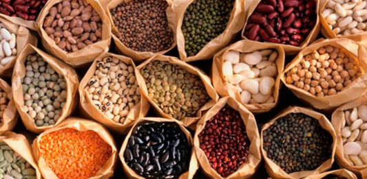 Leguminosas, semillas comestibles Leguminosas-semillas-comestibles-