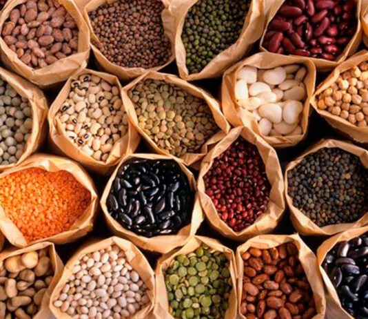 Leguminosas, semillas comestibles Leguminosas-semillas-comestibles-