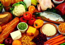 Plato del bien comer, alimentación balanceada Plato-del-bien-comer-tu-mejor-amigo-