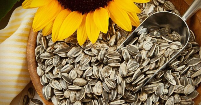 Semillas-de-Girasol-el-snack-perfecto