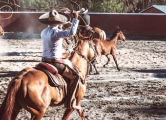 Charrería, deporte nacional por excelencia Charreria-deporte-nacional-por-excelencia.