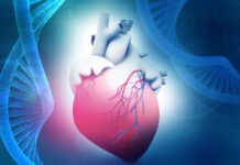 Día mundial del Corazón, ¿Por qué? Dia-mundial-del-Corazon-¿Por-que