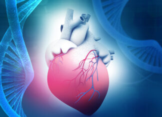 Día mundial del Corazón, ¿Por qué? Dia-mundial-del-Corazon-¿Por-que