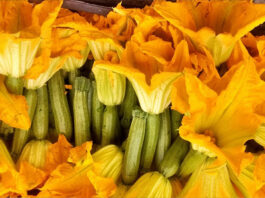 La Flor de Calabaza, una belleza gastronómica de México