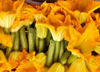 La Flor de Calabaza, una belleza gastronómica de México
