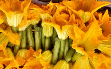 La Flor de Calabaza, una belleza gastronómica de México