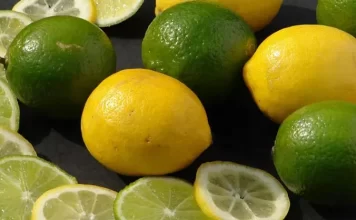 Lima y Limón, ¿Cuál es la diferencia? Lima-y-Limon-¿Cual-es-la-diferencia