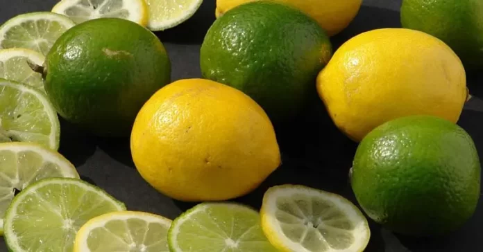 Lima-y-Limon-¿Cual-es-la-diferencia