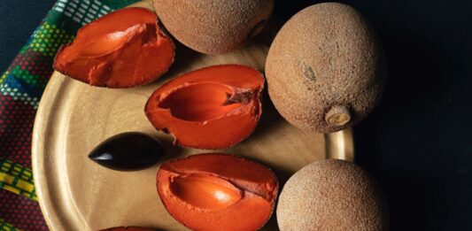 Mamey, el oro rojo mexicano Mamey-el-oro-rojo-mexicano