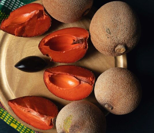 Mamey, el oro rojo mexicano Mamey-el-oro-rojo-mexicano