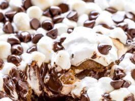S’mores, un snack hecho postre Smores-un-snack-hecho-postre.