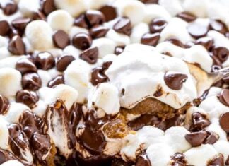S’mores, un snack hecho postre Smores-un-snack-hecho-postre.