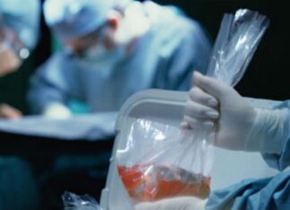 Donación de Órganos, todo lo que necesitas saber Donacion-de-Organos-todo-lo-que-necesitas-saber.