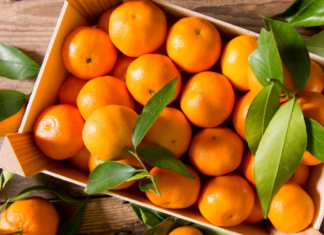 Mandarina, el cítrico de temporada