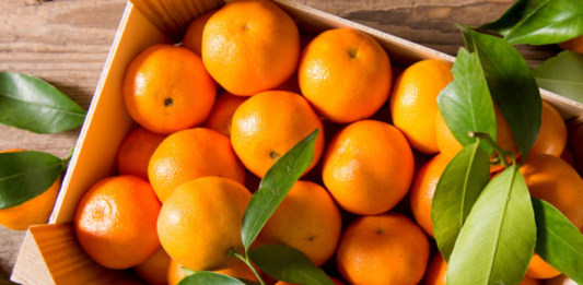 Mandarina, el cítrico de temporada