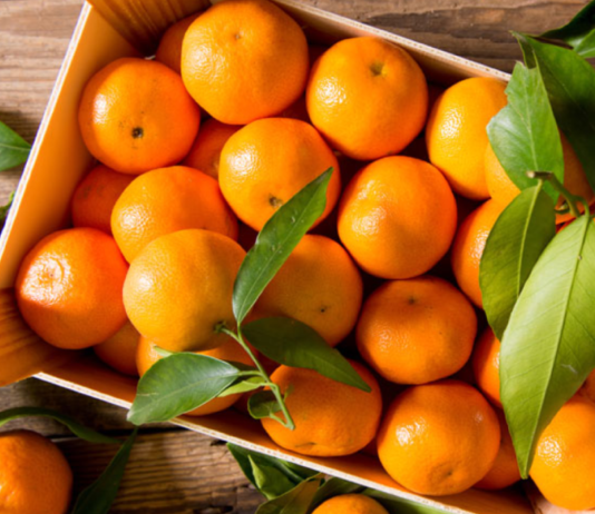 Mandarina, el cítrico de temporada