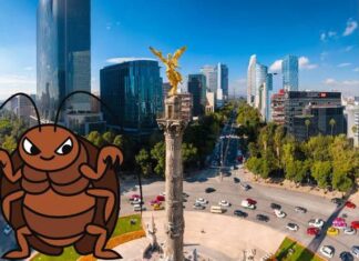 ¿Hay plaga de chinches en CDMX? ¿Hay plaga de chinches en CDMX