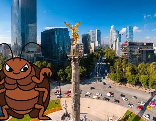 ¿Hay plaga de chinches en CDMX? ¿Hay plaga de chinches en CDMX