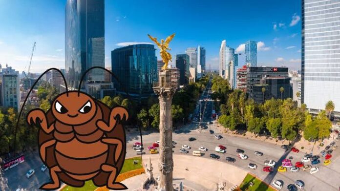 ¿Hay plaga de chinches en CDMX