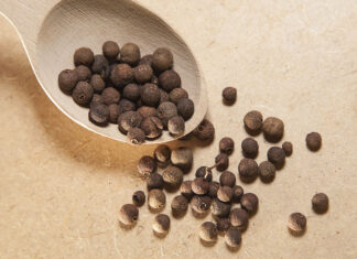 Pimienta gorda, pimienta mexicana Pimienta-gorda-pimienta-mexicana