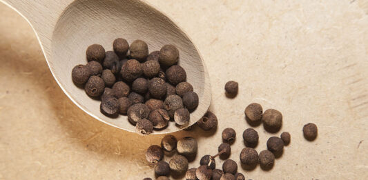 Pimienta gorda, pimienta mexicana Pimienta-gorda-pimienta-mexicana