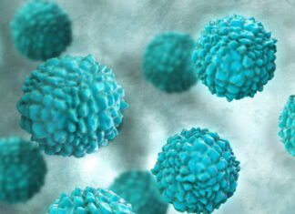 Norovirus, la gripe estomacal Norovirus-la-gripe-estomacal