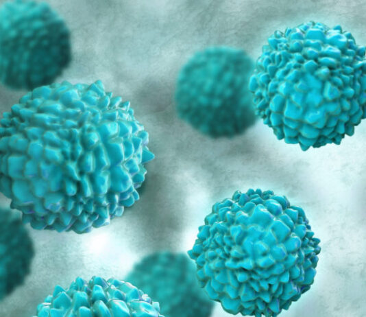 Norovirus, la gripe estomacal Norovirus-la-gripe-estomacal