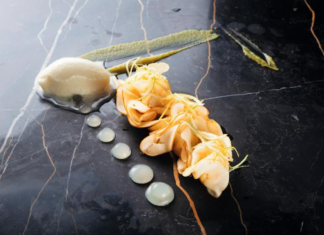 Raviolis de manzana, cocina gourmet Raviolis-de-manzana-cocina-gourmet