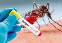 Dengue, un problema de salud pública Dengue-un-problema-de-salud-publica
