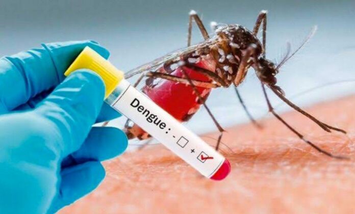 Dengue-un-problema-de-salud-publica