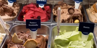 Feria Internacional del Helado y la Paleta 2024 Feria-Internacional-del-Helado-y-la-Paleta-2024
