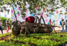 Festival de Flores y Jardines 2024 en CDMX