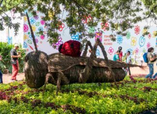 Festival de Flores y Jardines 2024 en CDMX